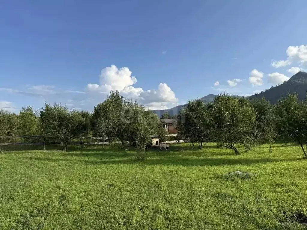 Участок в Алтай, Чемальский район, с. Анос ул. Звездная (11.5 сот.) - Фото 1