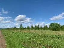 Участок 12 сот. (ИЖС) - Фото 0