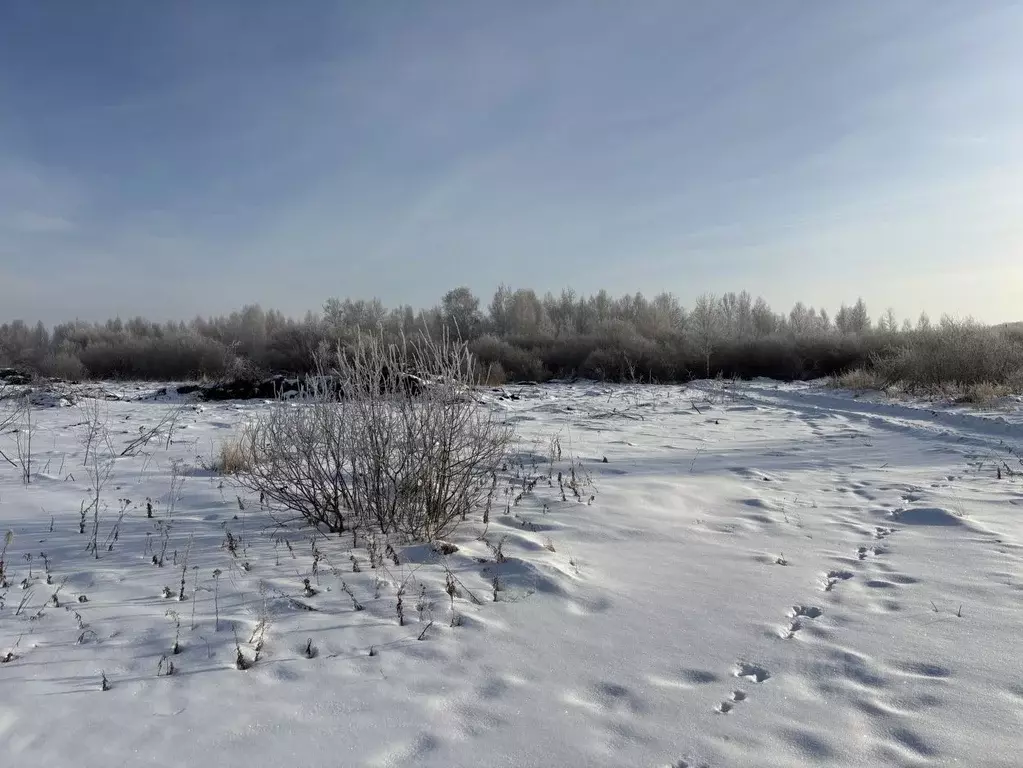 Участок в Челябинская область, Чебаркуль ул. Красная поляна, 2 (560.0 ... - Фото 1