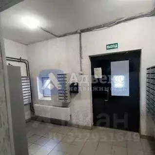 Студия Тюменская область, Тюмень Интернациональная ул., 199к4 (24.3 м) - Фото 2