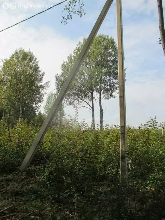 Участок в Ломоносовский район, Лебяженское городское поселение, ... - Фото 1