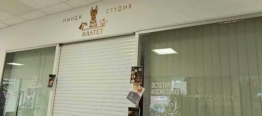 Помещение свободного назначения в Москва Соколово-Мещерская ул., 29 ... - Фото 0