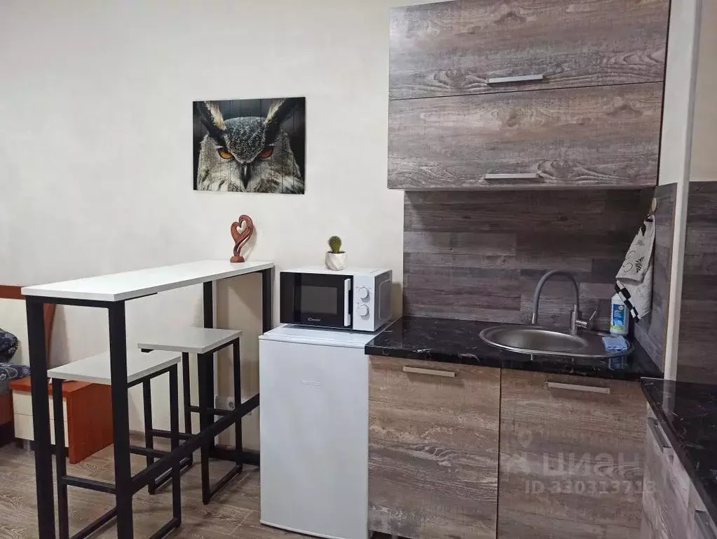 Студия Крым, Симферополь ул. Беспалова, 110Ж (26.0 м) - Фото 1