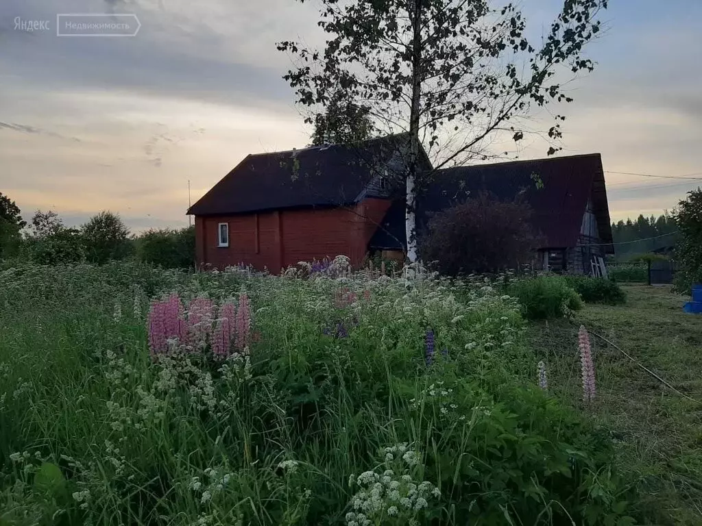 Купить Дом В Маловишерском Районе Новгородской