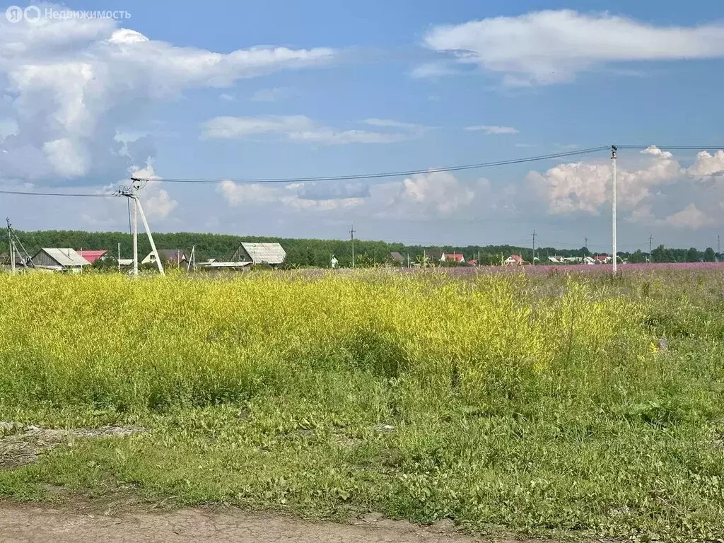 Участок в Свердловская область, Тугулымский муниципальный округ, село ... - Фото 1