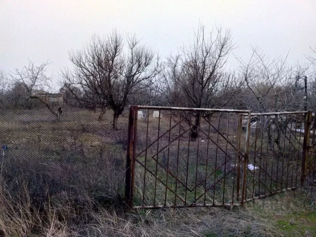 Участок в Волгоградская область, Волгоград бул. Сиреневый (9.9 сот.) - Фото 1