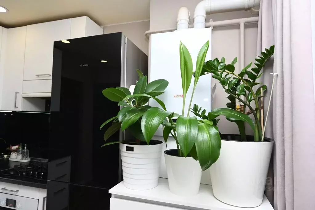 3-к кв. Липецкая область, Липецк Школьная ул., 24 (62.5 м) - Фото 2