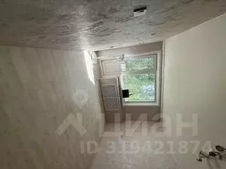 1-к кв. Новосибирская область, Новосибирск ул. Сердюкова, 6 (28.0 м) - Фото 0