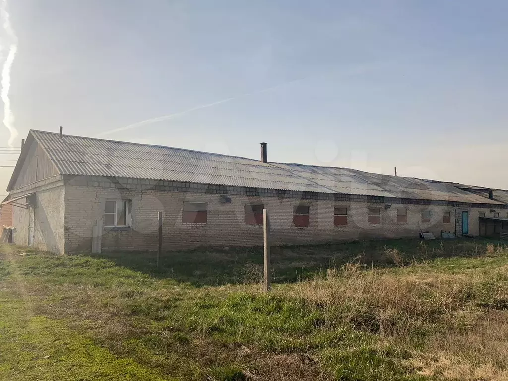 Производство, 1700 м - Фото 1