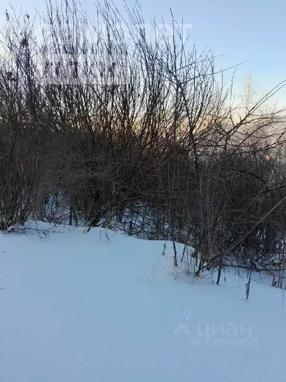 Участок в Алтай, Горно-Алтайск  (65.0 сот.) - Фото 0