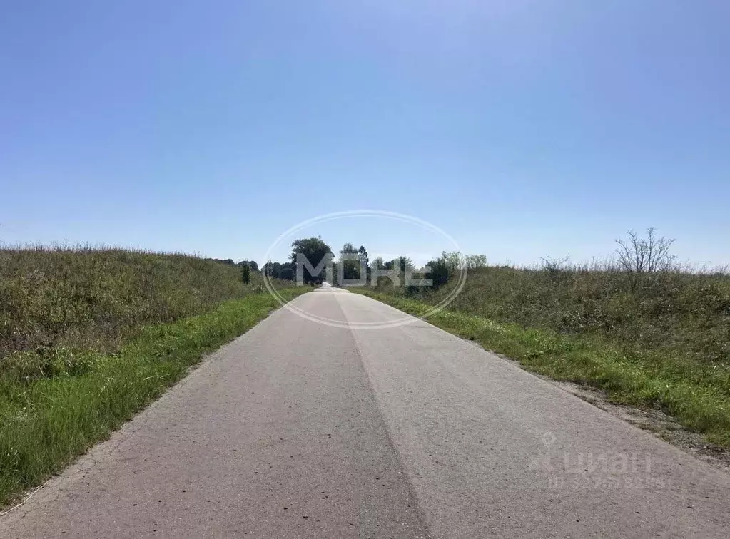 Участок в Калининградская область, Зеленоградский муниципальный округ, ... - Фото 1