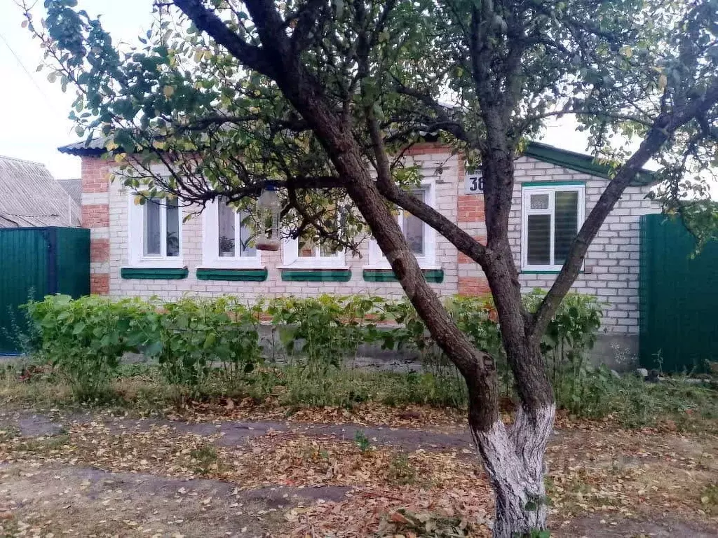 Дом в Белгородская область, Валуйский муниципальный округ, Уразово рп ... - Фото 1