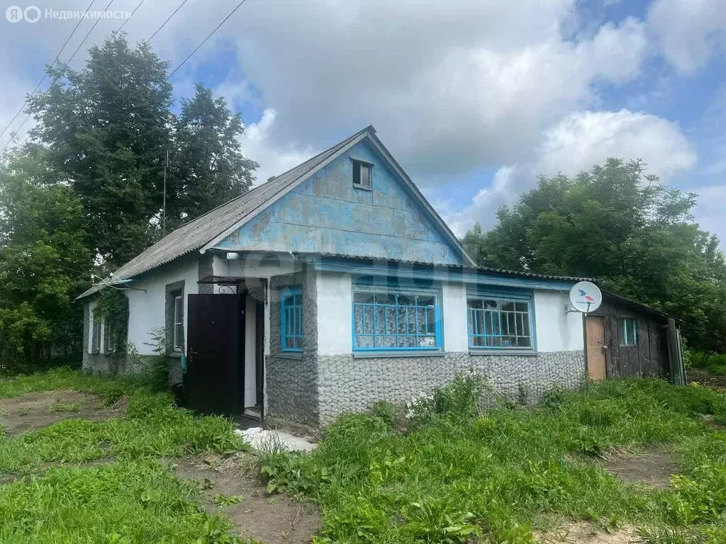 Дом в деревня Лукино, улица Куприянова (55.5 м) - Фото 1