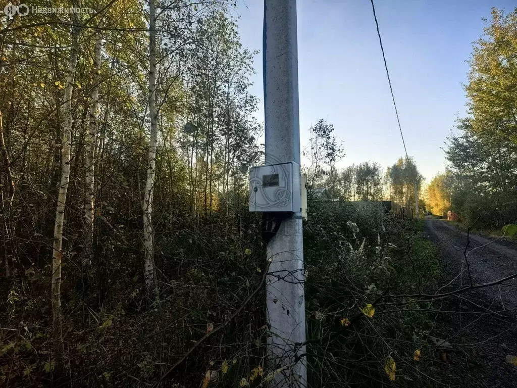 Участок в Богородский городской округ, СНТ Отдых (рабочий посёлок ... - Фото 0