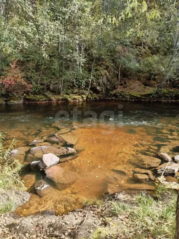 Участок в Забайкальский край, Читинский район, № 54 Радуга СНТ 32 ... - Фото 1