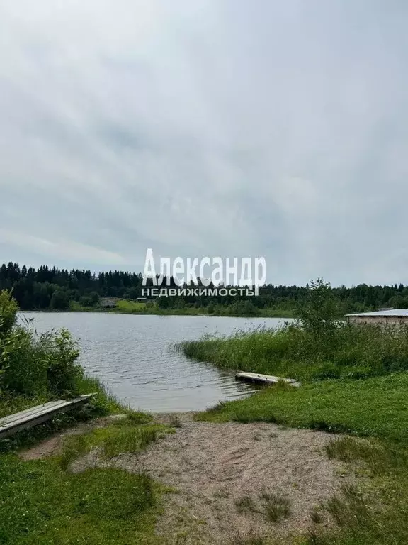 Участок в Карелия, Лахденпохский район, Мийнальское с/пос, пос. Нива  ... - Фото 1