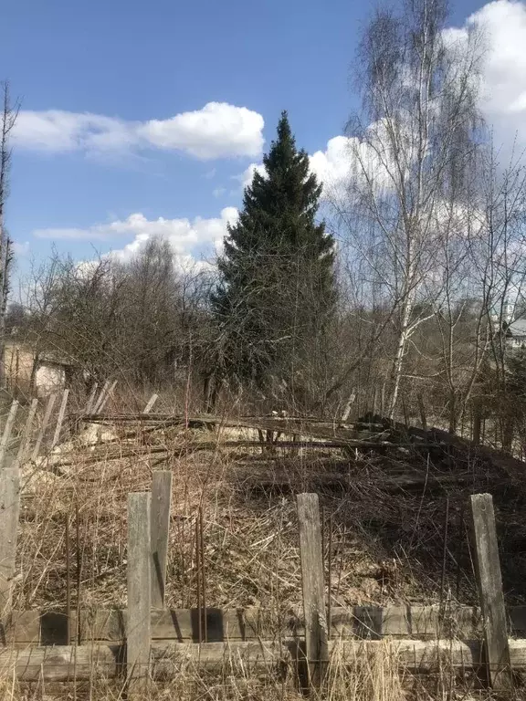 Участок в Московская область, Пушкинский городской округ, с. ... - Фото 0