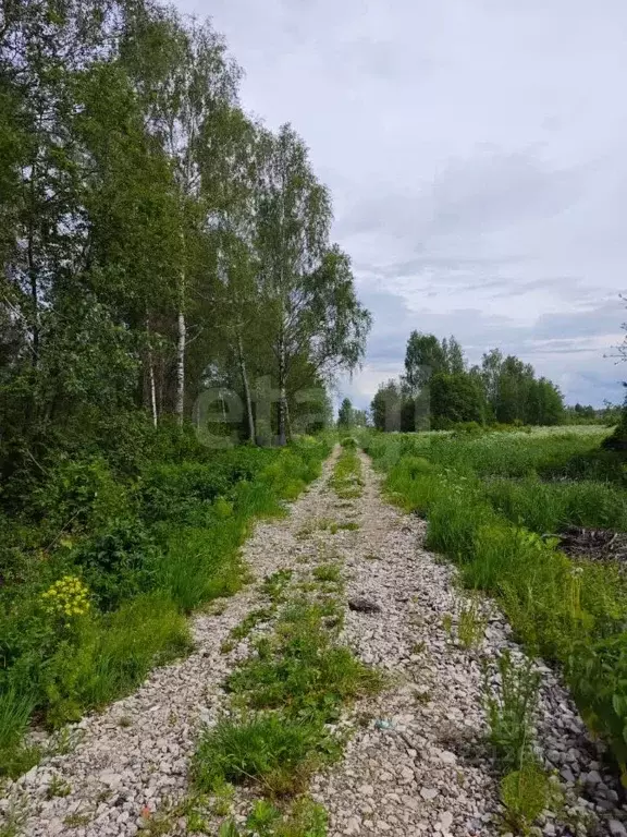 Участок в Тверская область, Калининский муниципальный округ, д. ... - Фото 2