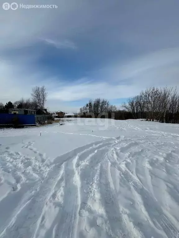 Участок в Хабаровск, Абрикосовая улица (8 м) - Фото 0