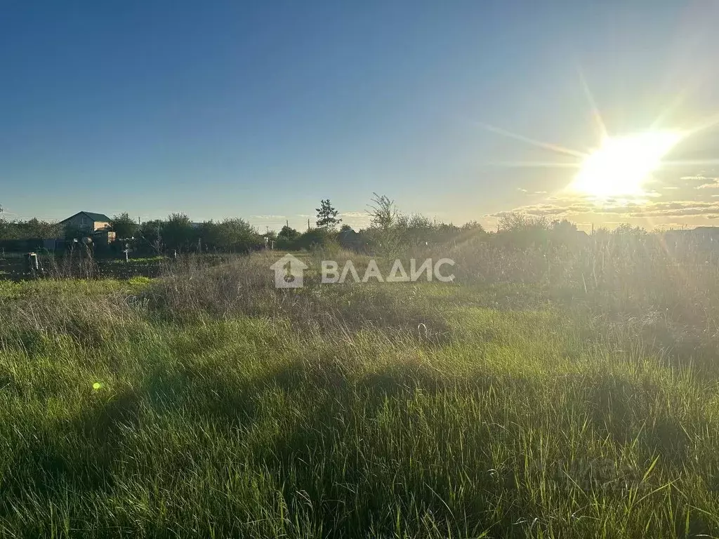 Участок в Саратовская область, Балаковский район, с. Красный Яр ... - Фото 1