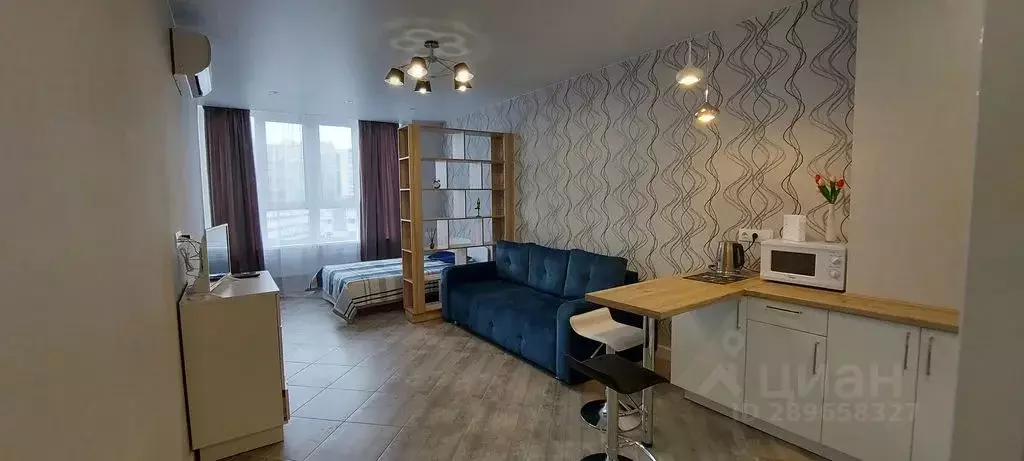 Студия Самарская область, Самара Гаражная ул., 7 (32.0 м) - Фото 1