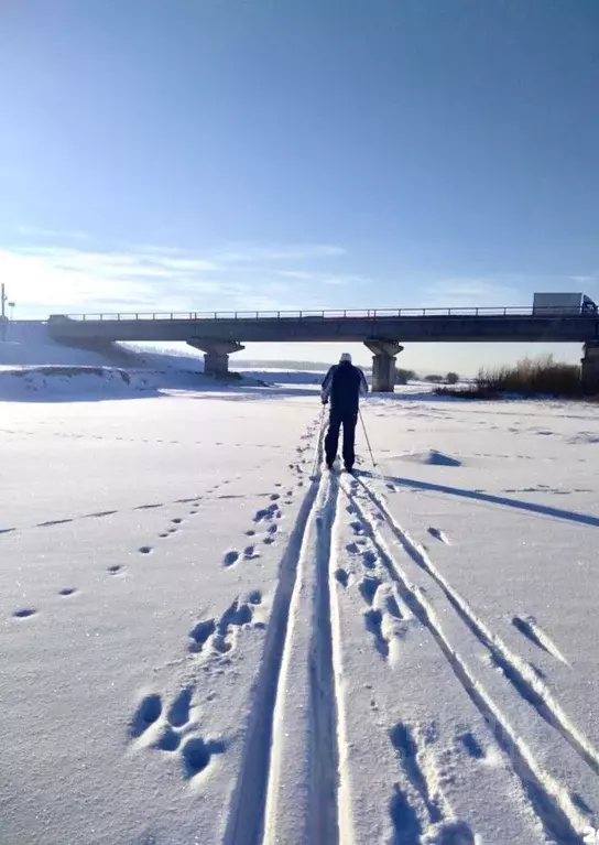 Участок в Иркутская область, Иркутский муниципальный округ, д. Куда ... - Фото 2