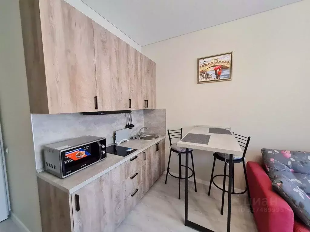 Студия Санкт-Петербург пос. Стрельна, просп. Буденного, 20к1 (26.0 м) - Фото 1