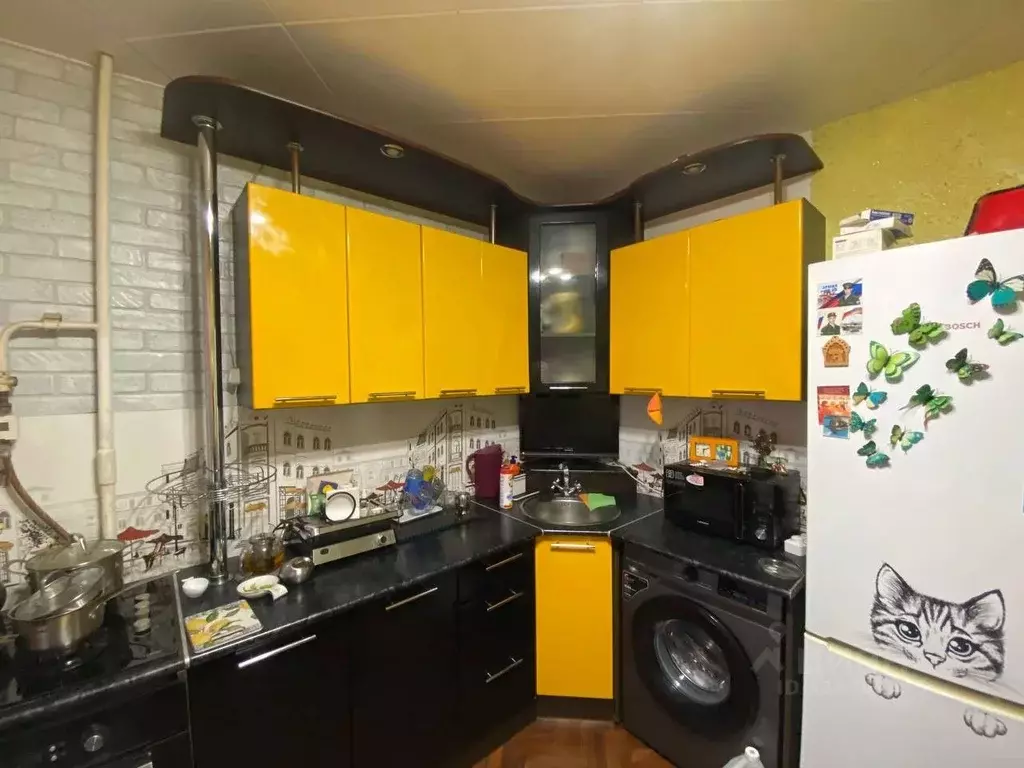 2-к кв. Челябинская область, Златоуст ул. Степана Разина, 9 (50.4 м) - Фото 2