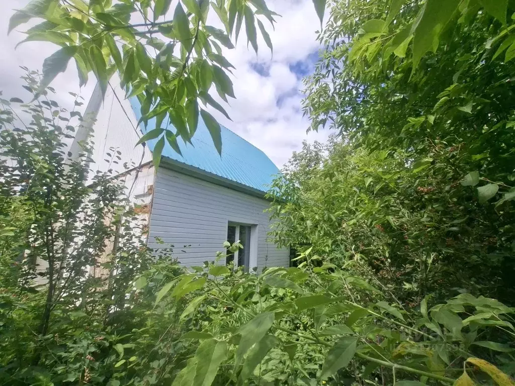 Дом в Челябинская область, Копейск Омская ул., 8 (56 м) - Фото 1