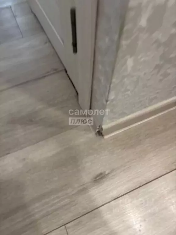 2-к кв. Архангельская область, Коряжма просп. Имени М.В. Ломоносова, ... - Фото 2