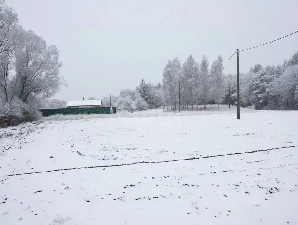 Участок в Ленинградская область, Киришский район, Будогощь пгт ул. ... - Фото 1