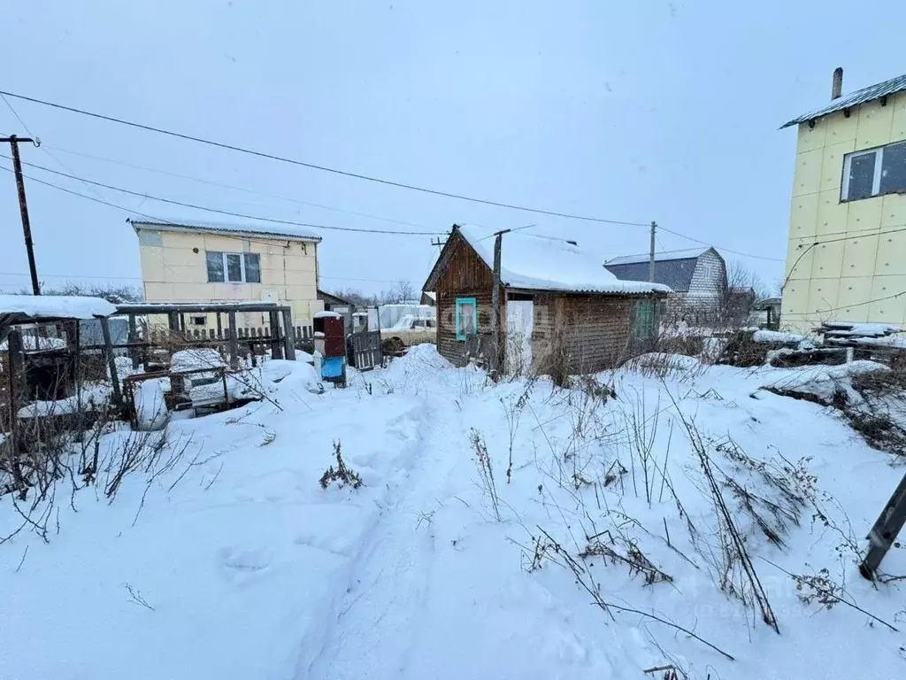 Участок в Новосибирская область, Новосибирск Виктория садовое ... - Фото 0