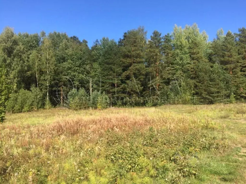 Участок в Новгородская область, Солецкий муниципальный округ, д. ... - Фото 1