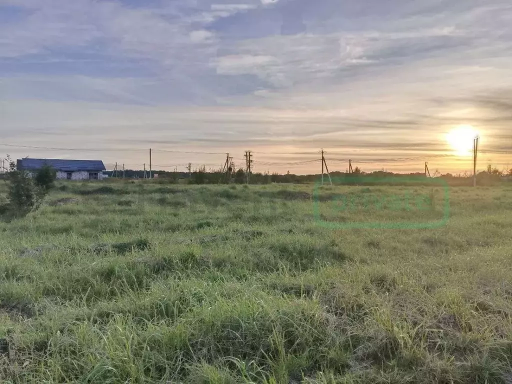 Участок в Калининградская область, Зеленоградский муниципальный округ, ... - Фото 1