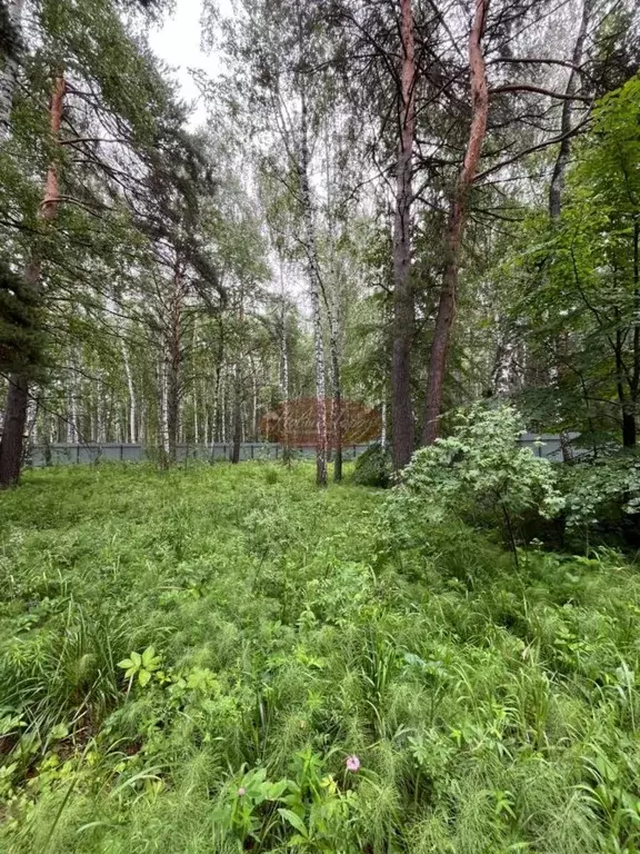 Участок в Тюменская область, Тюменский район, д. Криводанова  (15.0 ... - Фото 0