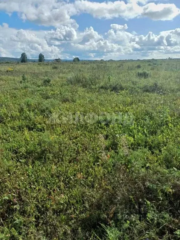 Участок в Томская область, Томский район, Стрижи СНТ ул. Магистральная ... - Фото 0