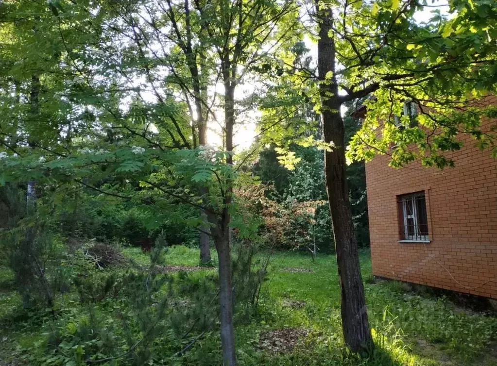 Участок в Московская область, Дмитровский муниципальный округ, ... - Фото 1