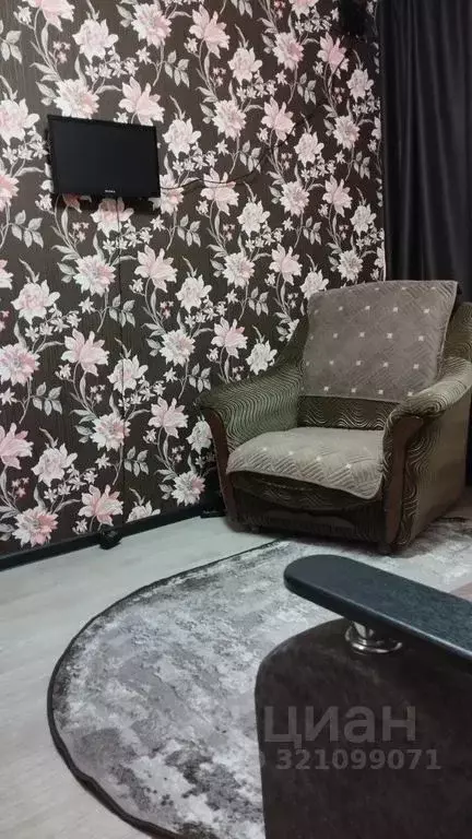 1-к кв. Воронежская область, Борисоглебск ул. Пешкова, 44 (24.0 м) - Фото 2