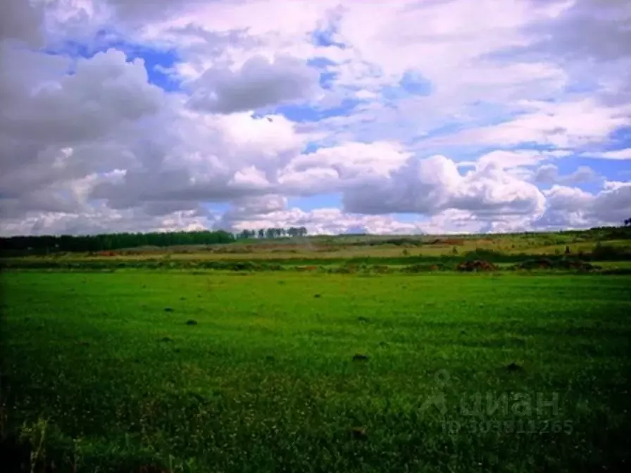 Участок в Челябинская область, Сосновский муниципальный округ, д. ... - Фото 1