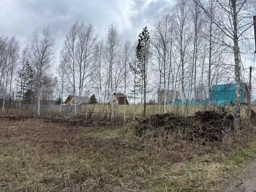 Участок в Тюменская область, Нижнетавдинский район, Строитель ТСН ... - Фото 0