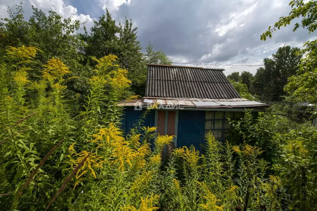 Участок в Нижегородская область, Нижний Новгород Яблоко СНТ, 39 (5.2 ... - Фото 1