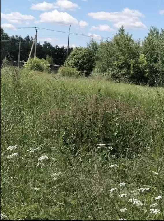 Участок в Московская область, Серпухов городской округ, пос. Большевик ... - Фото 2