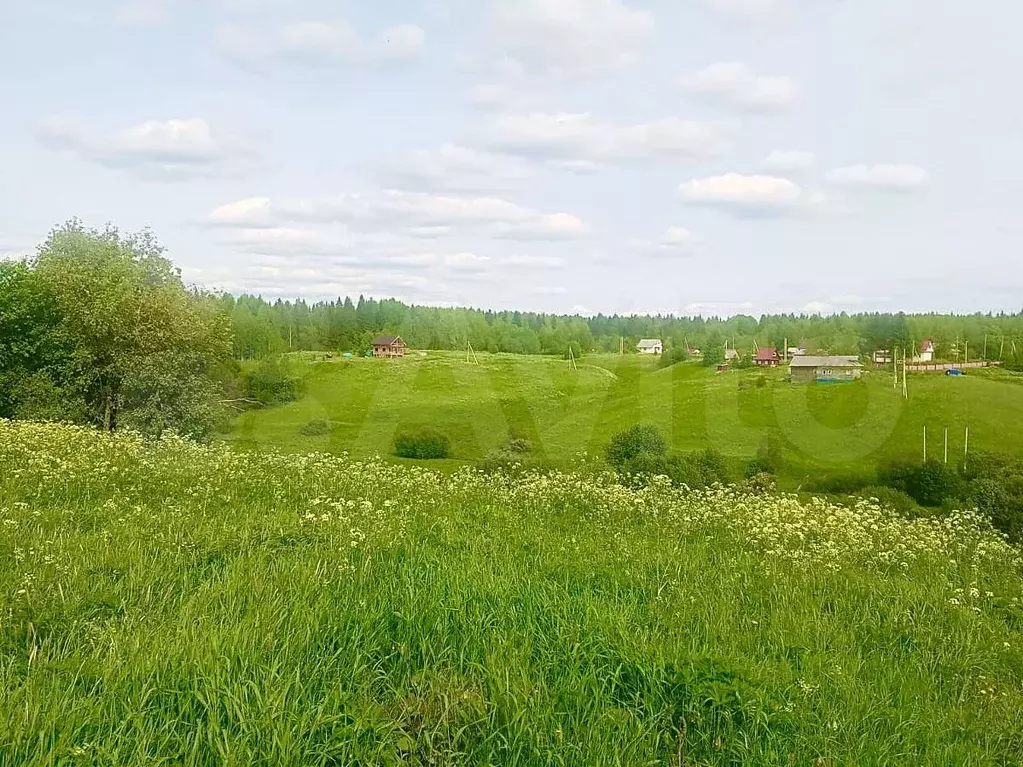 Участок 10 сот. (ИЖС) - Фото 0