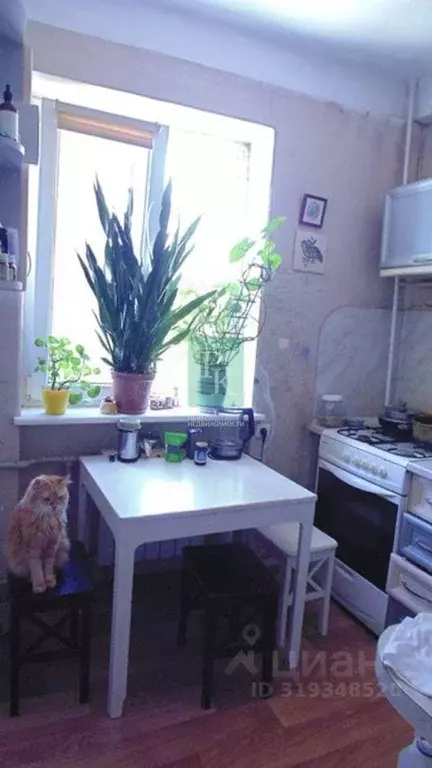 2-к кв. Севастополь ул. Репина, 8 (48.2 м) - Фото 1