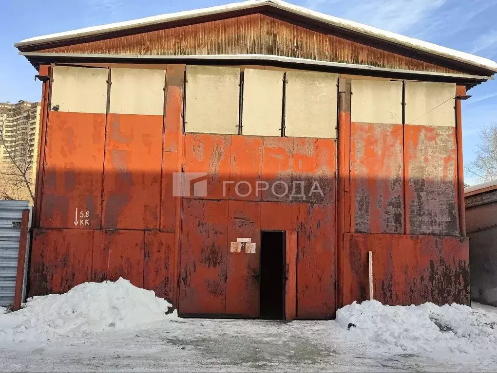 Помещение свободного назначения в Новосибирская область, Новосибирск ... - Фото 1