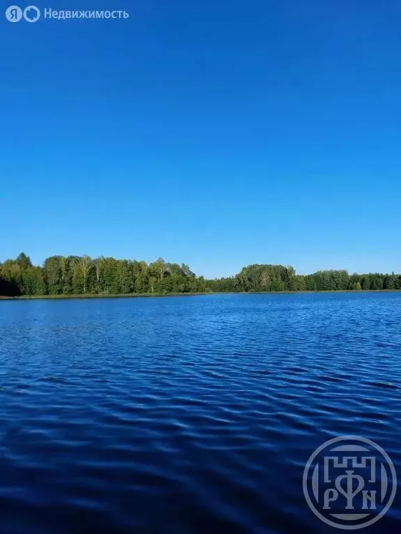 Участок в Скребловское сельское поселение, деревня Старая Серёдка (30 ... - Фото 2