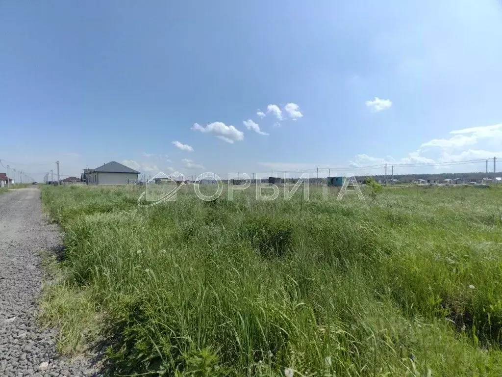 Участок в Тюменская область, Тюменский район, Пятница ТСН ул. Туманная ... - Фото 2