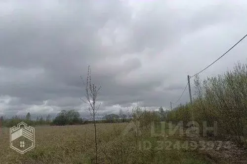 Участок в Новгородская область, Новгородский район, Савинское с/пос, ... - Фото 2