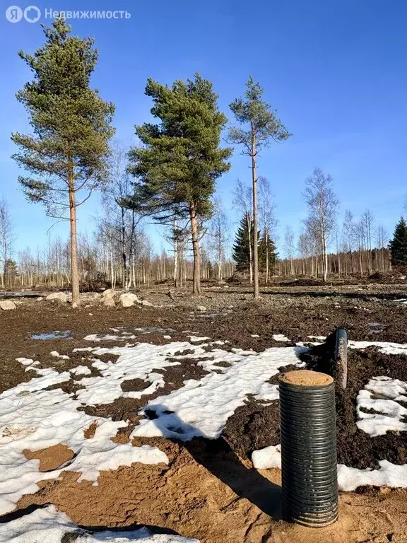 Участок в Шлиссельбург, Парковая улица (11.7 м) - Фото 2