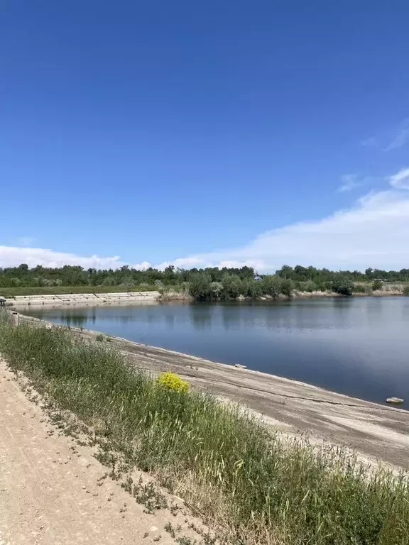 Участок в Саратовская область, Энгельсский район, Новопушкинское ... - Фото 0